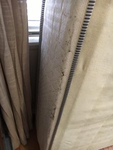 bed bugs signs on mattress