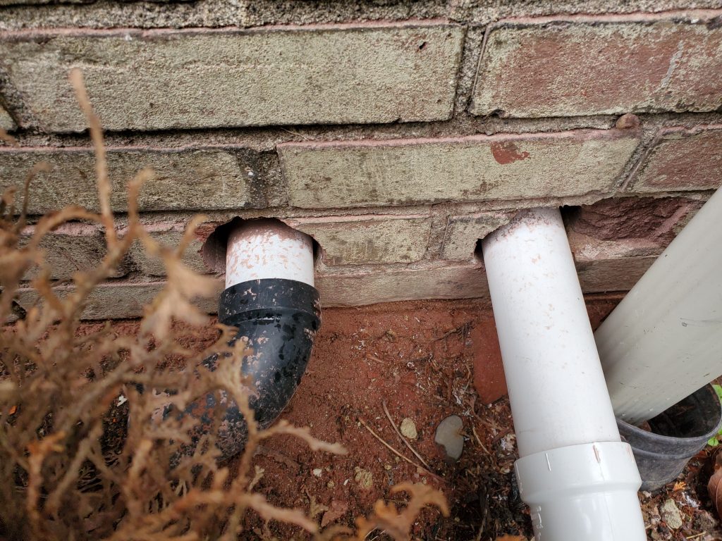 Local Rats Pest control Services