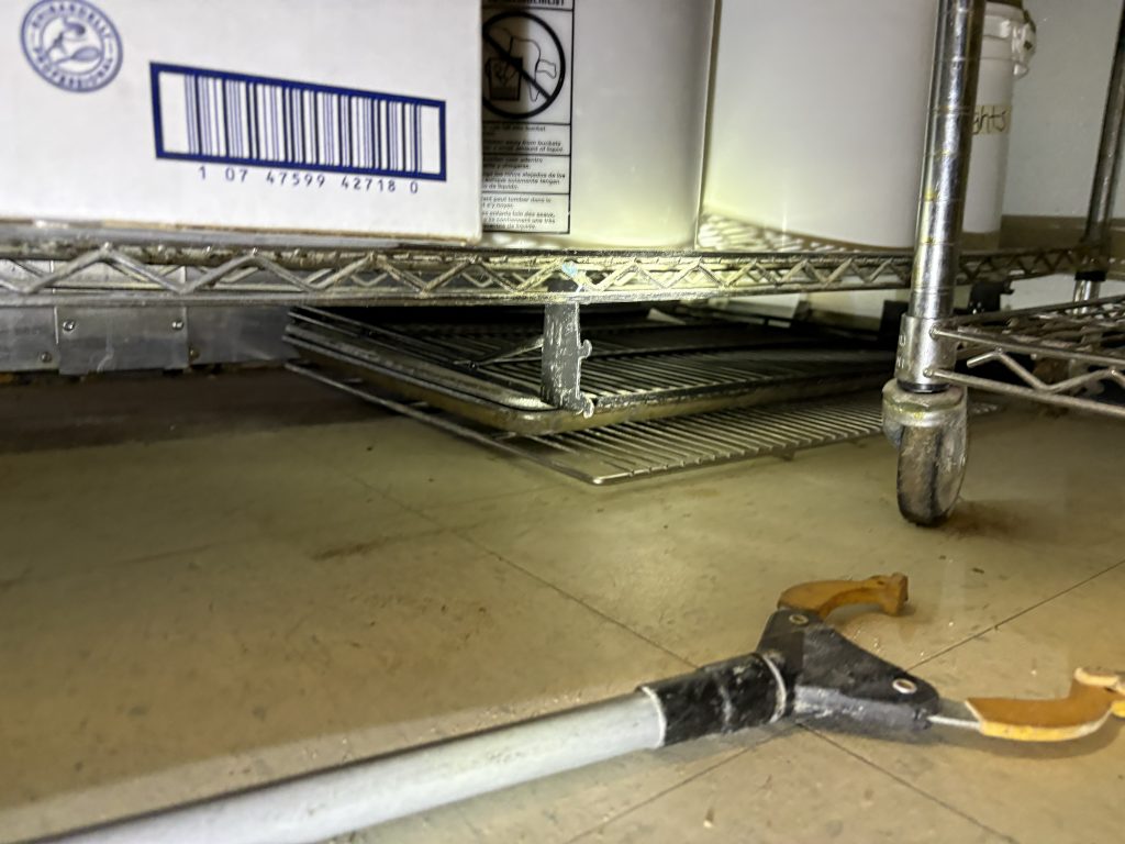Commercial Rat AMPM Exterminator