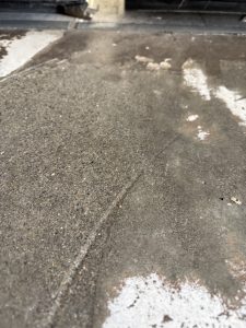 Comparison chart showing Norway rat (ground burrower) and roof rat (tree and attic climber) with size differences, nesting locations, and common King County neighborhoods where each species is found