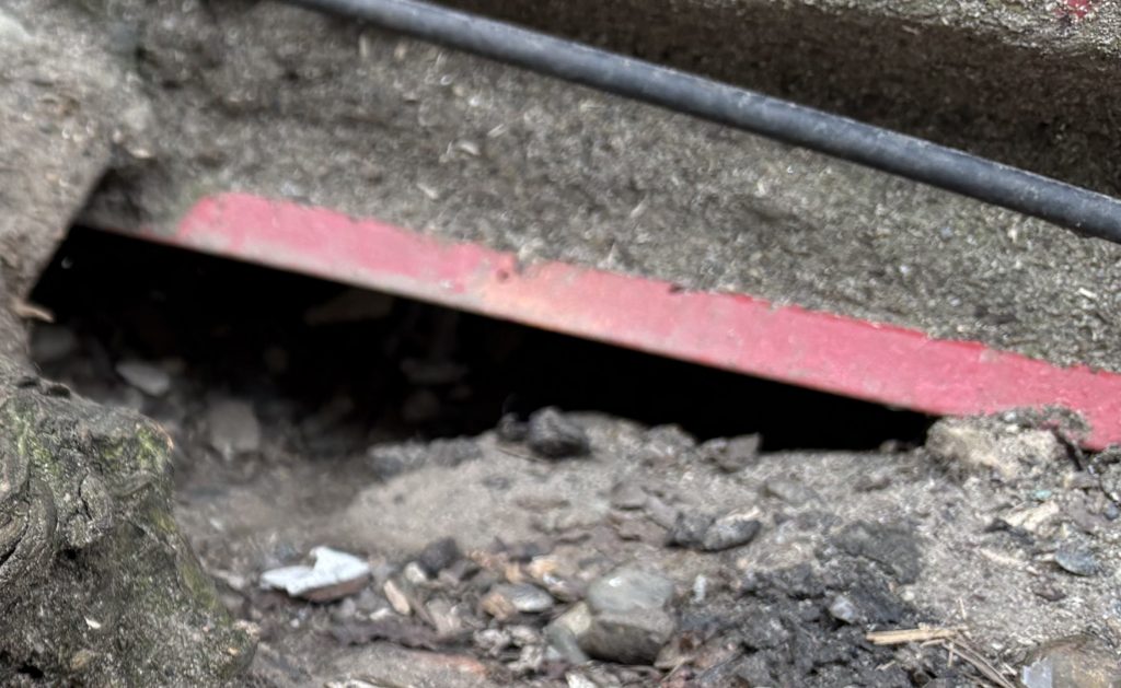 Commercial rat infestation at Seattle business complex with rodent activity around loading docks, dumpsters, and building foundations in King County WA.