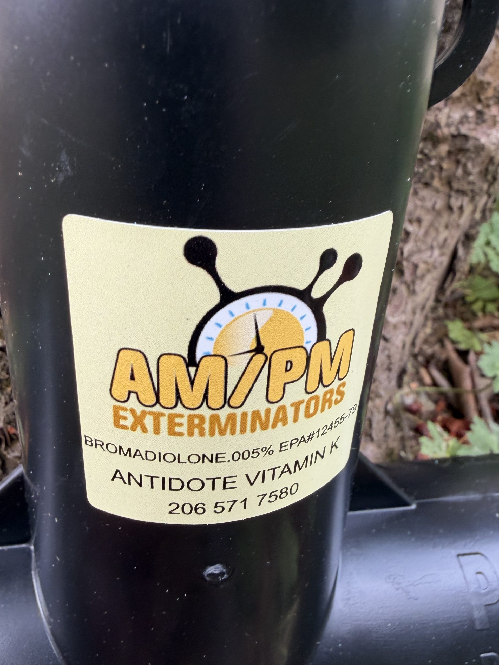 Professional rat abatement and rodent exclusion service Seattle King county, WA by AMPM Exterminators