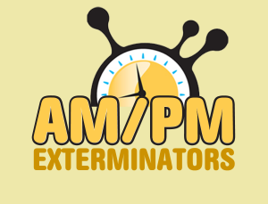Seattle exterminators 300x229 1